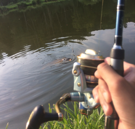 combat avec une carpe cours de peche pour ados Hauts de France