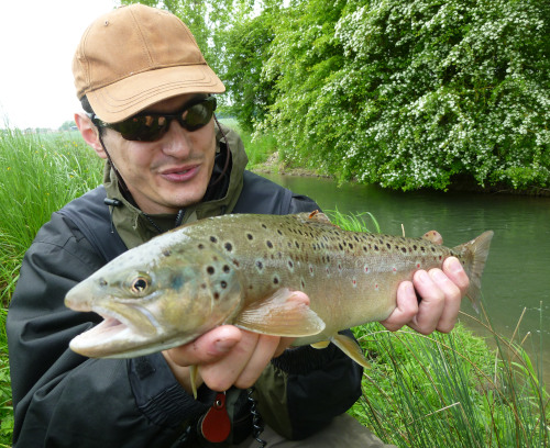truite fario de rivière mouche riviere