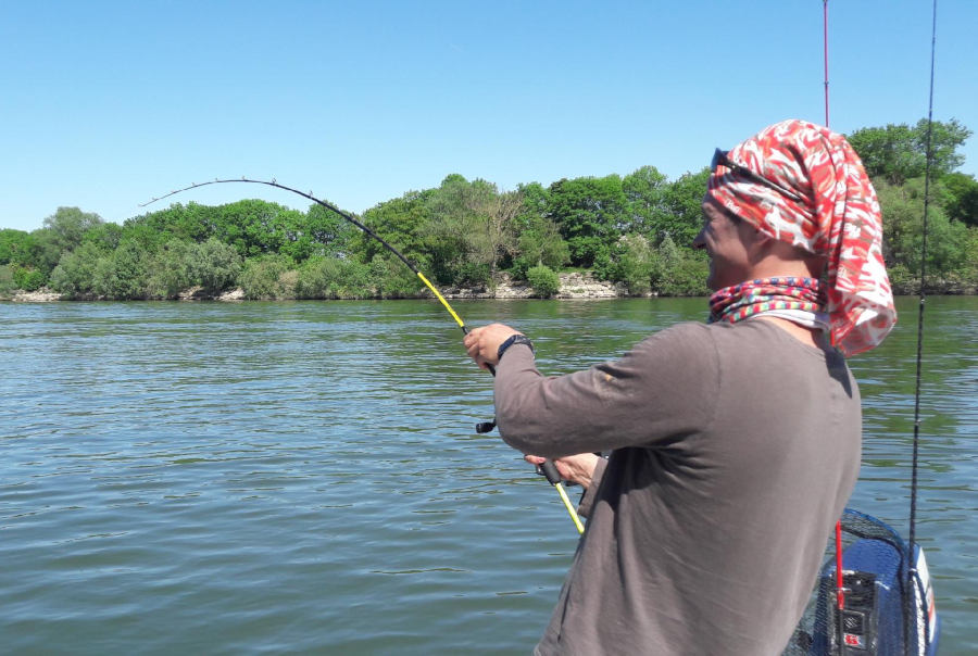 combat gros brochet rivière carnassiers aux leurres